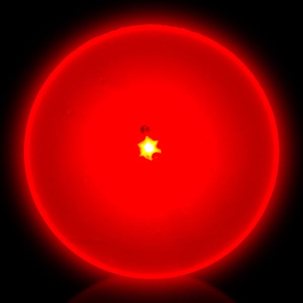 Red Flashing LED Light Up Glow Circle Blinky EverythingBranded USA