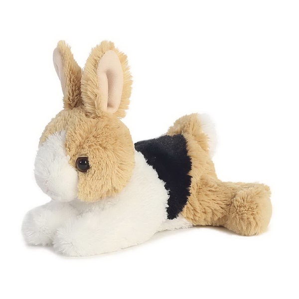 Dutch Rabbits Colors