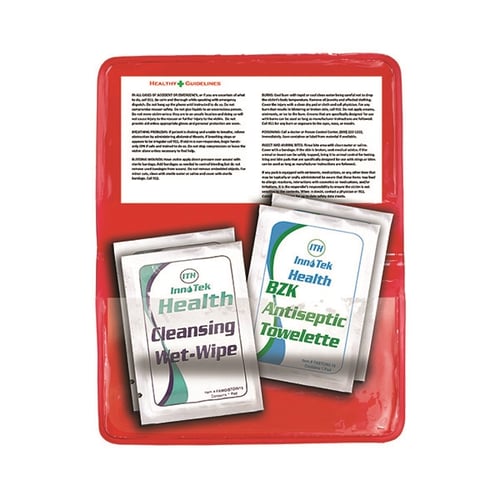 Antiseptic & Disinfectant Wipes Pack In Translucent Vinyl