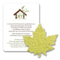 Maple Leaf Mini Gift Pack With Seed Paper