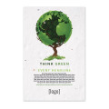 Earth Day Seed Paper Poster: 24 Stock Designs