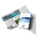 PaperSplash(SM) 9" x 16" Tri-Fold Brochure