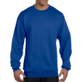 Champion Double Dry Eco Crewneck Sweatshirt
