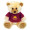 Chelsea™ Plush Teddy Bear - Max