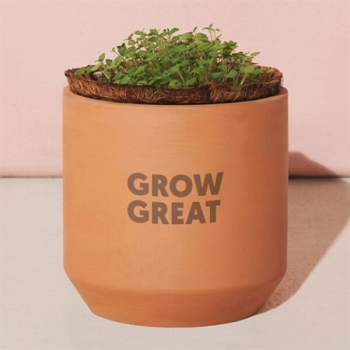 Modern Sprout® Tiny Terracotta Grow Kit Champagne Poppies